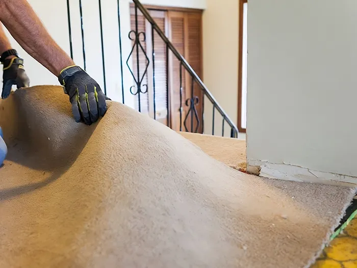 Carpet-removal.webp